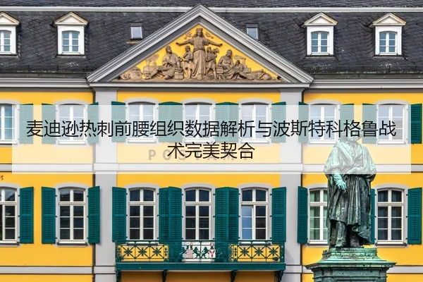 麦迪逊热刺前腰组织数据解析与波斯特科格鲁战术完美契合