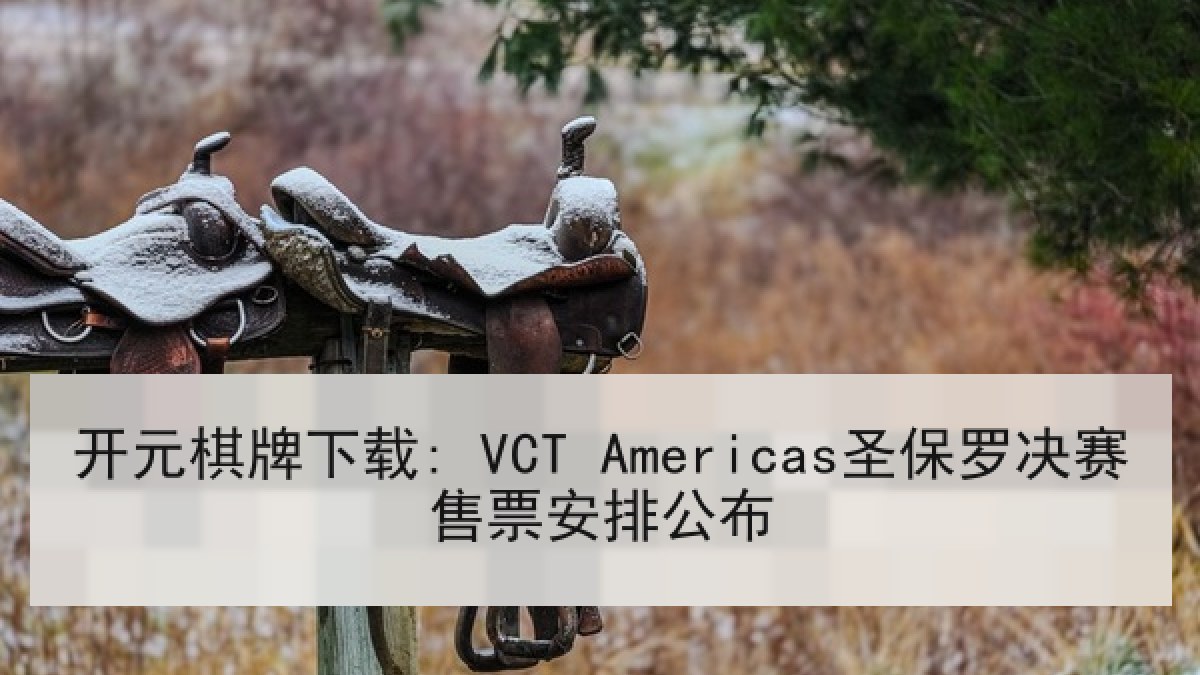 开元棋牌下载: VCT Americas圣保罗决赛售票安排公布