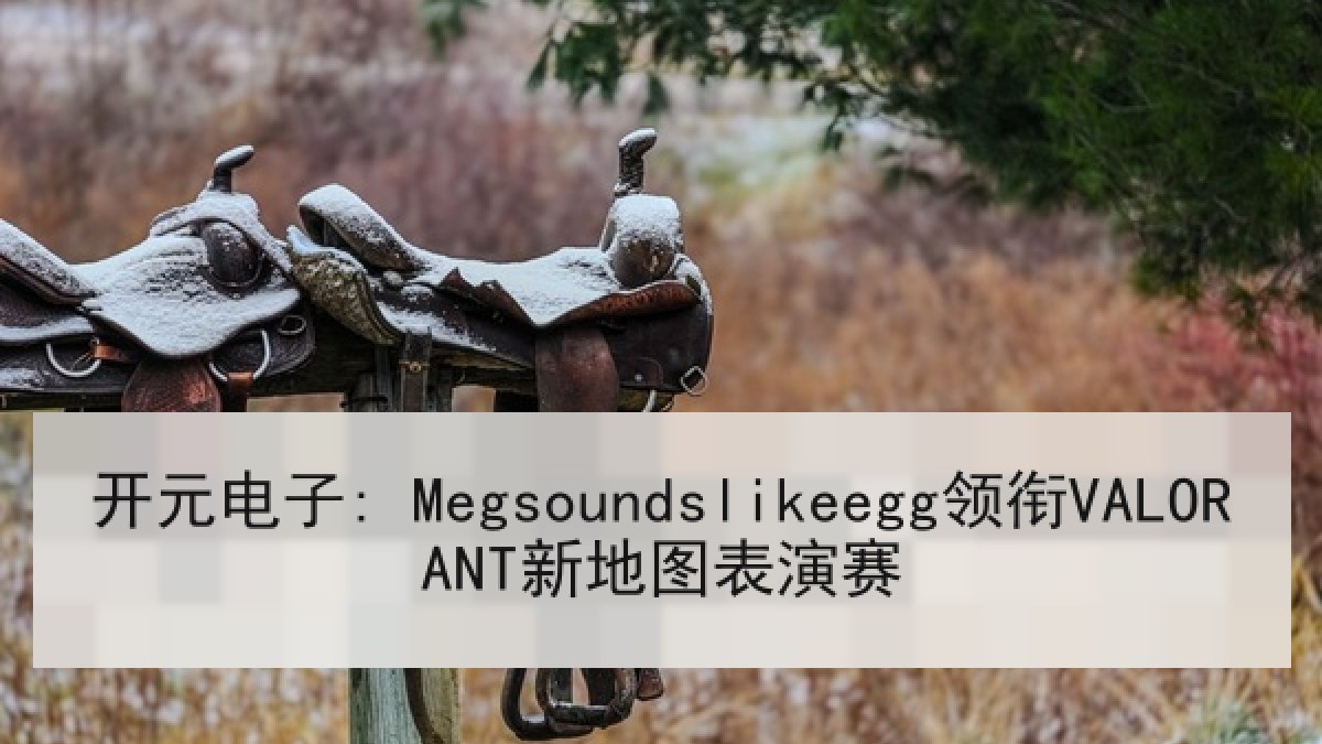 开元电子: Megsoundslikeegg领衔VALORANT新地图表演赛