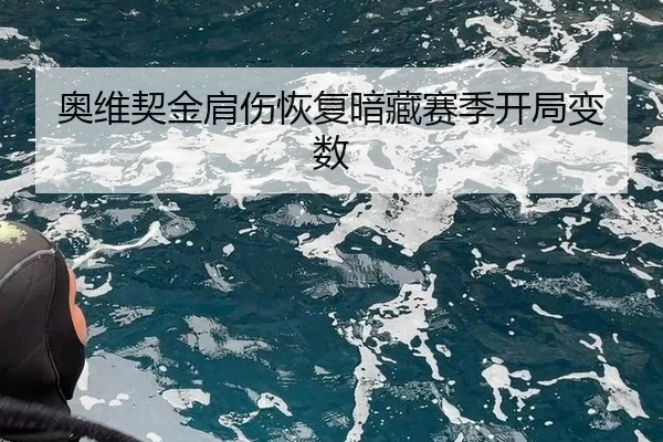奥维契金肩伤恢复暗藏赛季开局变数