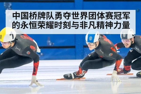 中国桥牌队勇夺世界团体赛冠军的永恒荣耀时刻与非凡精神力量