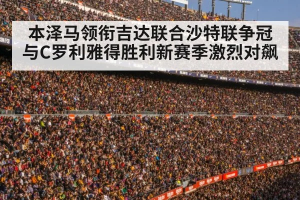 football stadium crowd